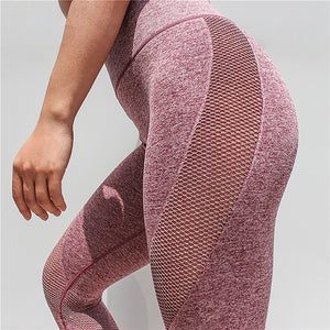 New Seamless Mesh Running Sport Tights Women