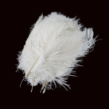 Load image into Gallery viewer, wholesale 15-20 CM/ 6-8 Inch beautiful Ostrich feather For DIY jewelry