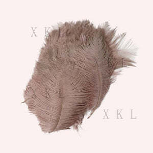 wholesale 15-20 CM/ 6-8 Inch beautiful Ostrich feather For DIY jewelry