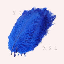 Load image into Gallery viewer, wholesale 15-20 CM/ 6-8 Inch beautiful Ostrich feather For DIY jewelry