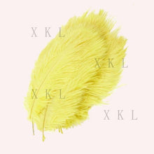 Load image into Gallery viewer, wholesale 15-20 CM/ 6-8 Inch beautiful Ostrich feather For DIY jewelry