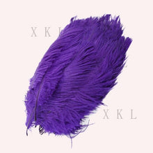 Load image into Gallery viewer, wholesale 15-20 CM/ 6-8 Inch beautiful Ostrich feather For DIY jewelry