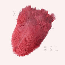 Load image into Gallery viewer, wholesale 15-20 CM/ 6-8 Inch beautiful Ostrich feather For DIY jewelry