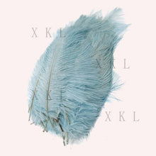 Load image into Gallery viewer, wholesale 15-20 CM/ 6-8 Inch beautiful Ostrich feather For DIY jewelry