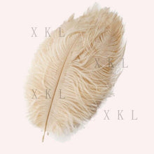 Load image into Gallery viewer, wholesale 15-20 CM/ 6-8 Inch beautiful Ostrich feather For DIY jewelry