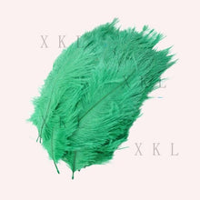 Load image into Gallery viewer, wholesale 15-20 CM/ 6-8 Inch beautiful Ostrich feather For DIY jewelry